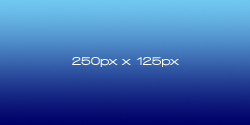 Inserzione 250px x 125px